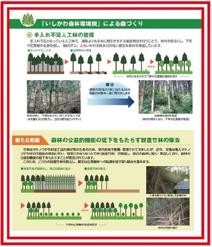 「いしかわ森林環境税」による森づくり