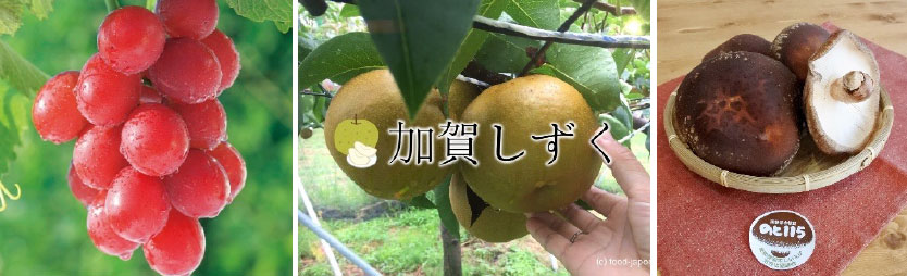 石川の農林水産物