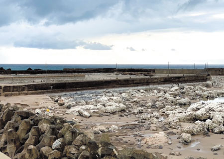 地盤隆起や防波堤損傷